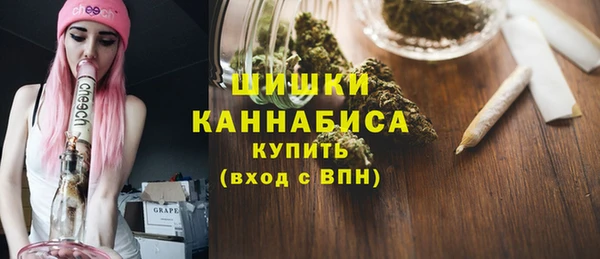 ПСИЛОЦИБИНОВЫЕ ГРИБЫ Балабаново