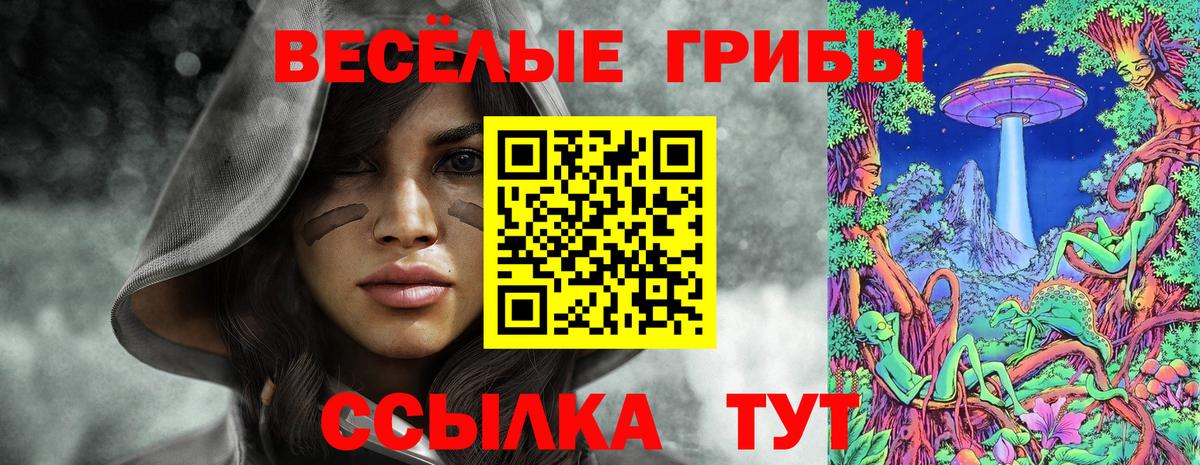Борисоглебск  Галлюциногенные грибы мицелий  Вход с VPN  Псилоцибиновые грибы Psilocybine cubensis 