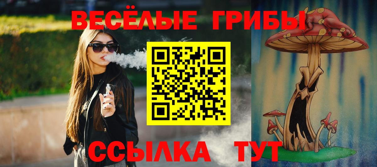 Галлюциногенные грибы Psilocybe Борисоглебск
